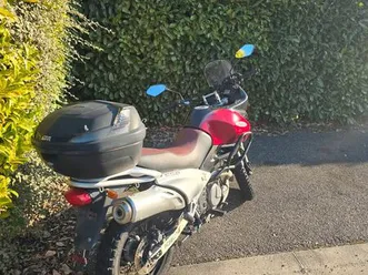 suzuiki xf650 freewind