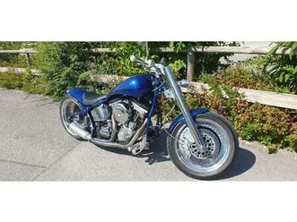 custombike,harley davidson parts,einzelstück,hintgucker,winterpr.