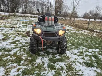 quad kawasaki kvf brute force 750 glogów