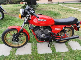 morini