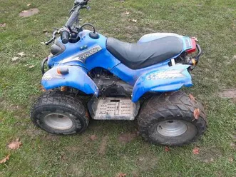 verkaufe ei quad 50 cm