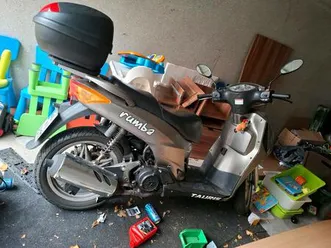 roller zu verkaufen rumba