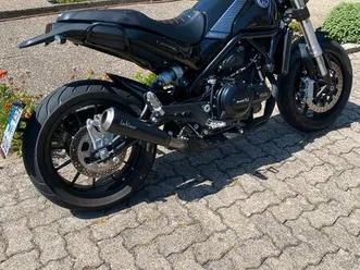 benelli leoncino 500 a2