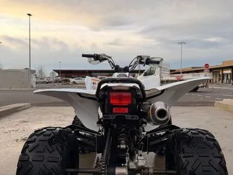 quad 250 raptor