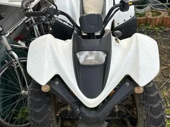 quad 125