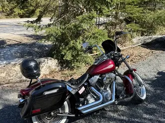 harley-davidson fxst