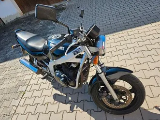 suzuki gs 500