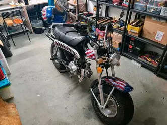 skyteam t-rex 50 ccm | geairbrusht hotrod |