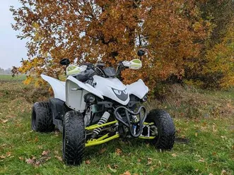 quad aeon cobra 420