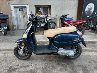 beeline memory roller 50 ccm