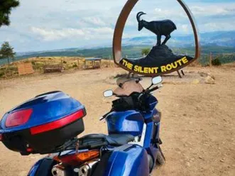 honda - vfr 800 fi vtec