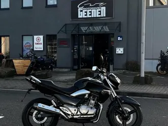 suzuki gw250 inazuma