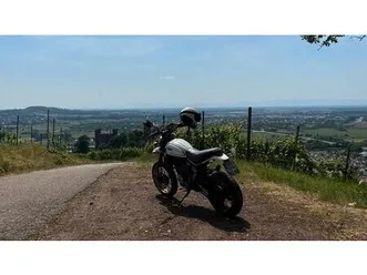 ducati scrambler desert sled - gepflegt & scheckheftgepfl.