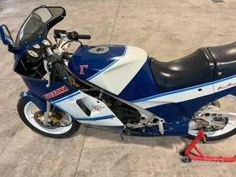 suzuki rg250