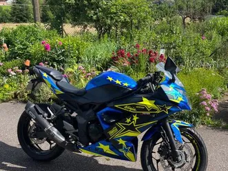 kawasaki ninja race 2020 (a1)