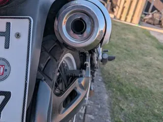 suzuki xf 650 freewind