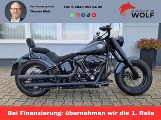 harley-davidson softail flss*softail*slim s*110*twincam*dr.jeki