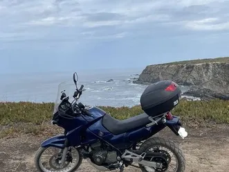 kawasaki kle 500 rogil