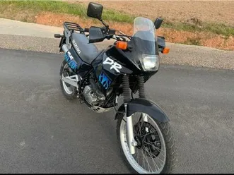 suzuki-dr650