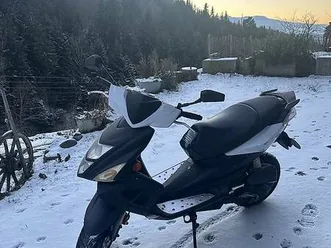 tgb bullet roller canton berne -