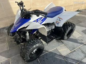 quad yamaha 50 raptor