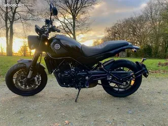 benelli léonncino 500