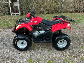 quad kimco 250 mxu