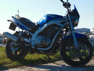 suzuki gs 500