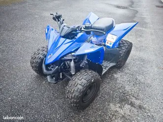 quad yamaha 50 yfz raptor