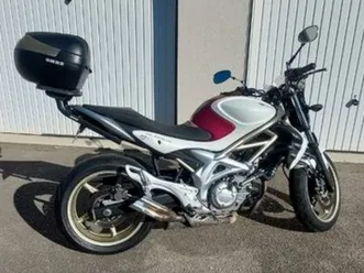 suzuki gladius 650 fushia