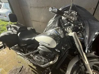 suzuki, 800 intruder