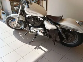 harley 1200 custom