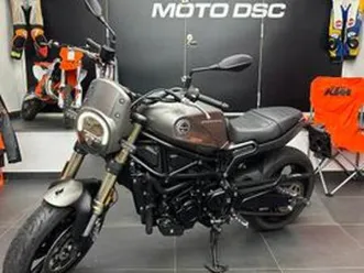 benelli leoncino 800