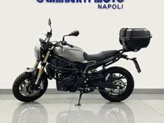 benelli leoncino 800 2024