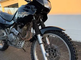 honda 650 dominator