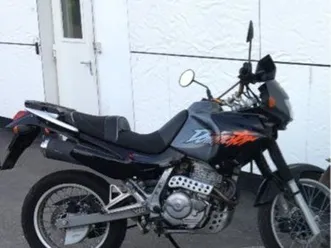 honda dominator