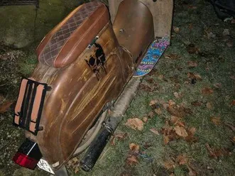 schwalbe zu verkaufen