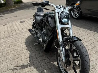 harley davidson v rod muscle