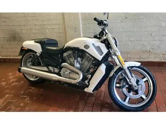 vrod muscle baujahr sept. 2017