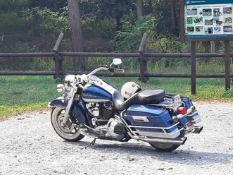 harley davidson road king 1500cm