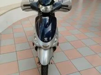 peugeot v-clic - 2010