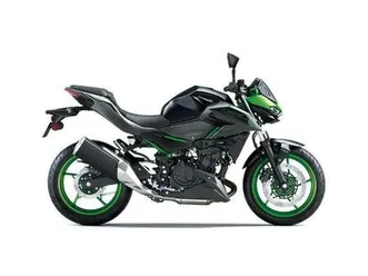 2024 kawasaki z500 se