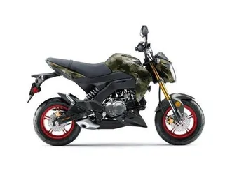 2025 kawasaki z125 pro