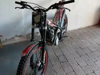 trial beta evo 300 4t