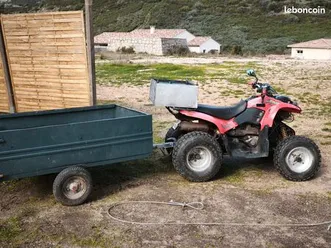 quad polaris phoenix 200