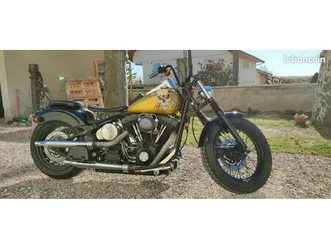 harley davidson sofftail standard