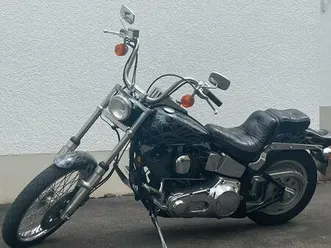 harley davidson softail custom, evo