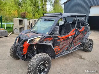 buggy can-am 4 places