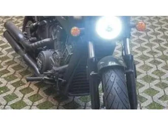 scout 1133 rogue (2022 - 25)