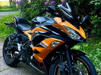 kawasaki, ninja 650, 2020, 649 (cc)